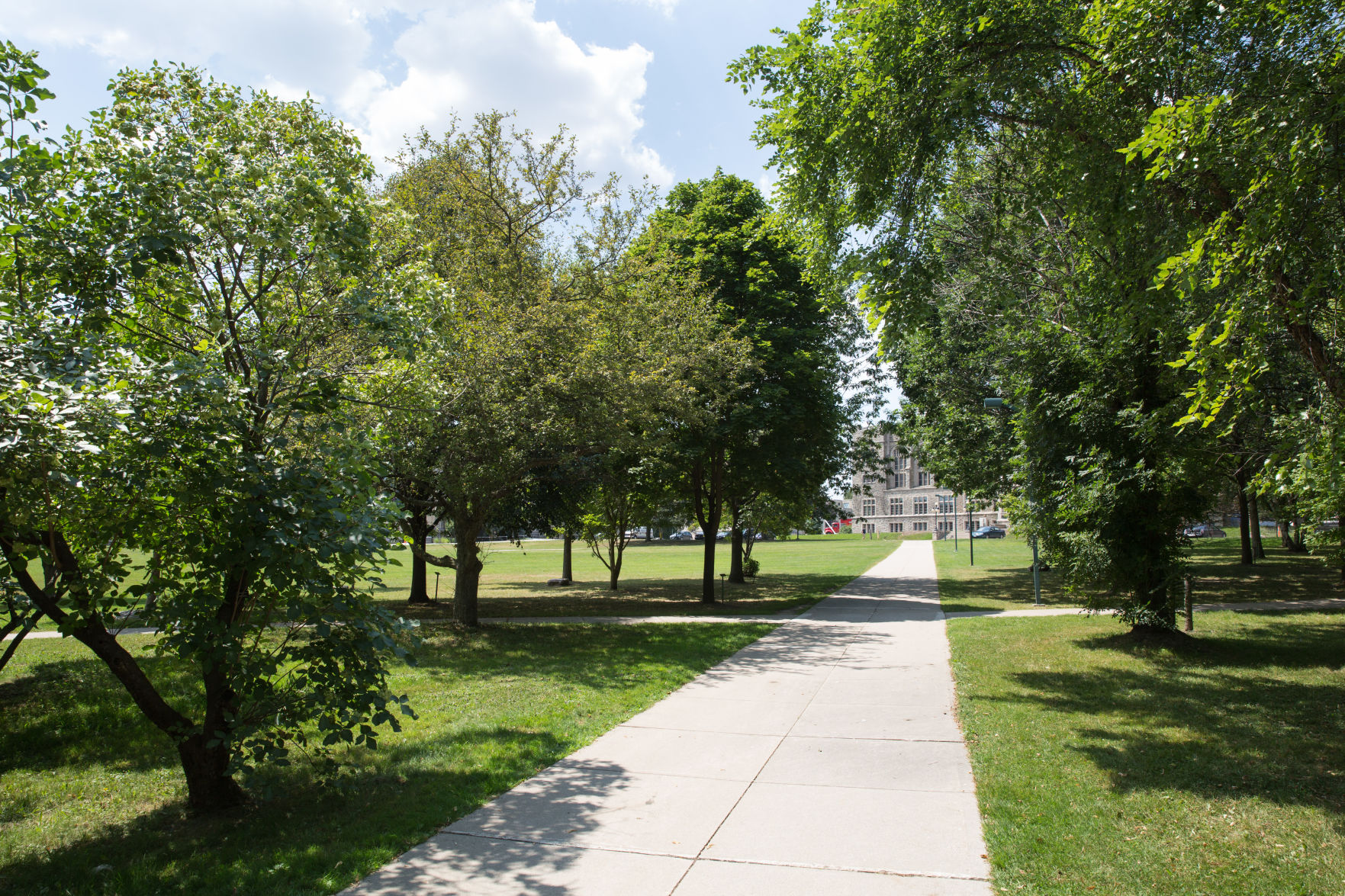 Campus Redesign (Photo 2)